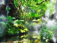 คาเฟ่ในป่าหิมพานต์เชียงใหม่เขียวชะอุ่มสดชื่นมาก