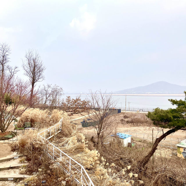 김포 초대형카페 아보고가