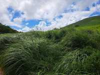 【由布岳:大分県由布市】夏を感じる緑が綺麗な絶景由布岳⛰️
