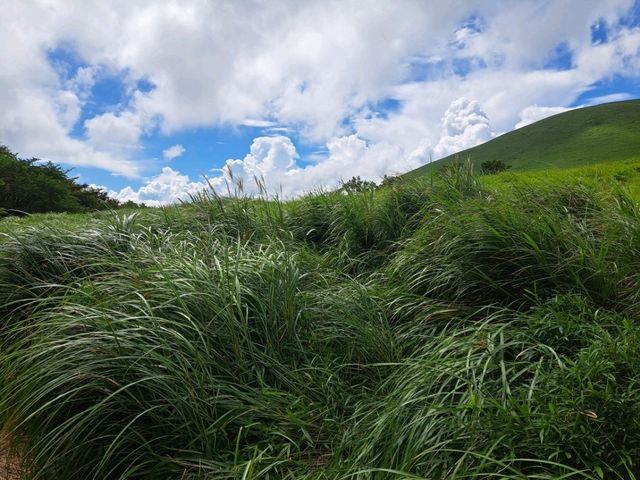 【由布岳:大分県由布市】夏を感じる緑が綺麗な絶景由布岳⛰️
