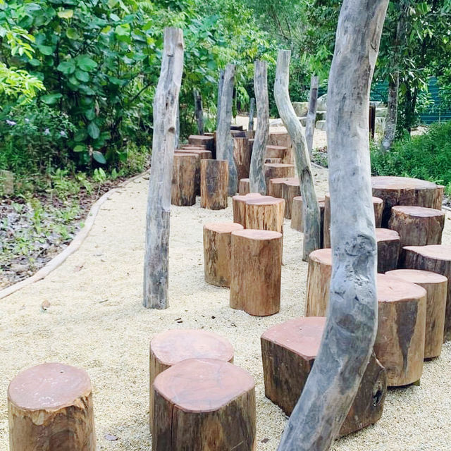 Rifle Range Nature Reserve: A Hidden Gem for Hikers 🇸🇬