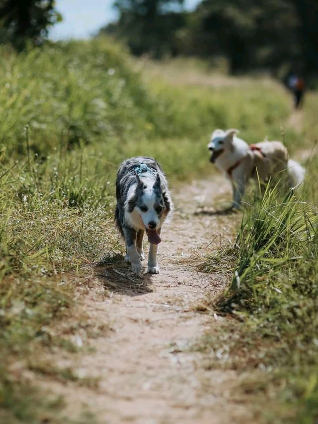 ตะลุยเทรล 6 กิโลเมตร ที่ Wisdom Valley