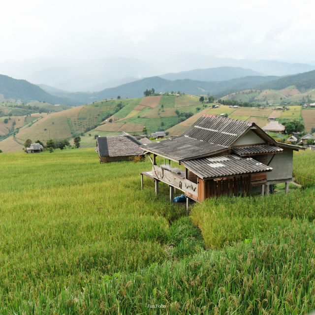 เที่ยวบ้านป่าบงเปียงหน้าฝน⛰️