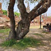 Journey through time at Ayutthaya – a city of ancient ruins and royal tales