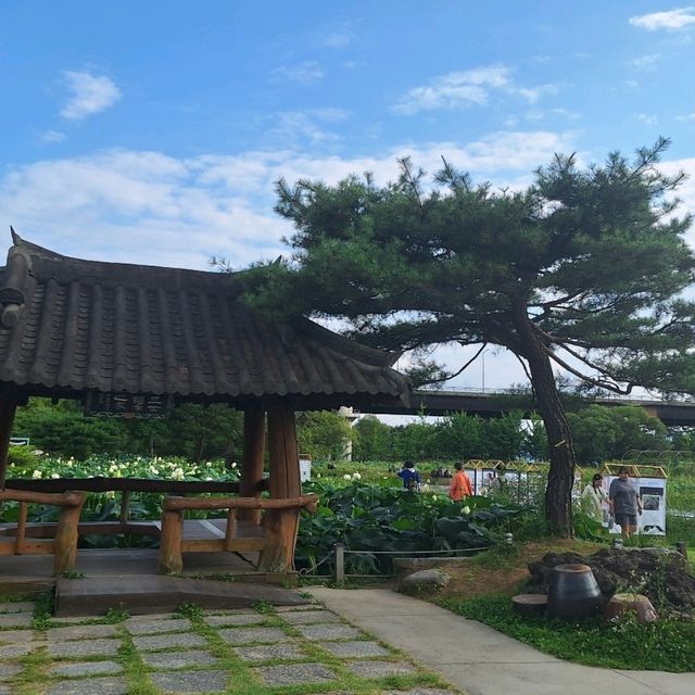 양평 세미원