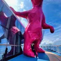 My Favorite Solarium Pool on Cruise to nowhere! 