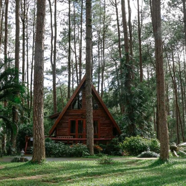 สวนป่าดอยบ่อหลวง อำเภอฮอด เชียงใหม่