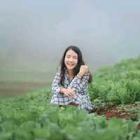ภูดอย โฮมสเตย์  