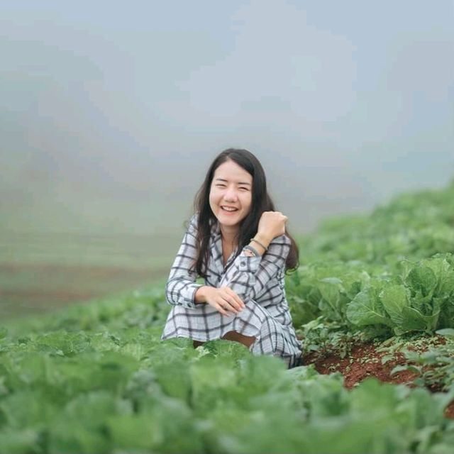 ภูดอย โฮมสเตย์  