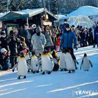 北海道旭山動物園