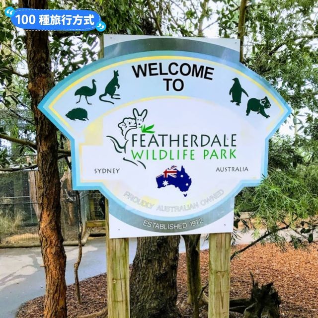 澳洲雪梨-野生動物園與無尾熊合照：Featherdale野生動物園