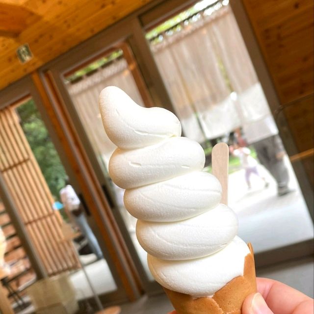 札幌景點｜日本最北第一神社北海道的守護神—北海道神宮