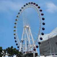 🎡🔖레저추천 속초아이대관람차