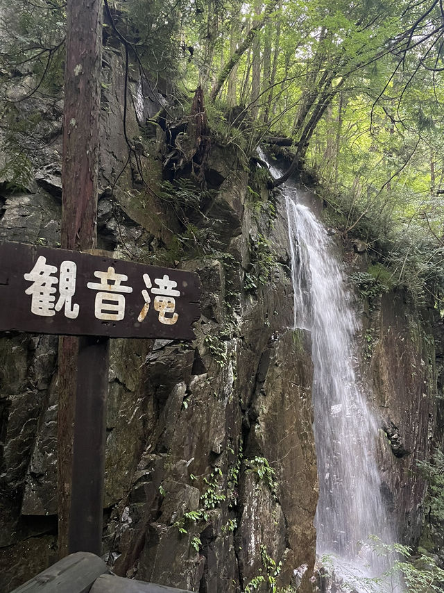 岐阜　マイナスイオンを感じられる滝🏞️