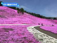日本北海道-宛如粉紅色地毯的芝櫻花海：東藻琴 芝櫻公園