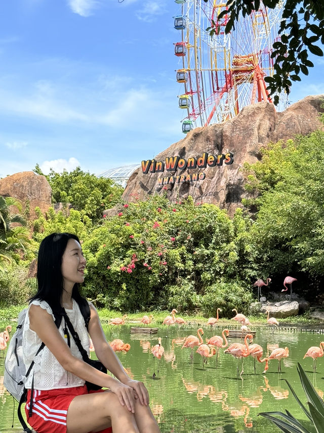나트랑 여행 필수 코스💖사진 명소 홍학과 함께! 