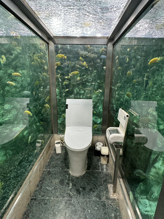 日本初！トイレの中が水族館？！🐠