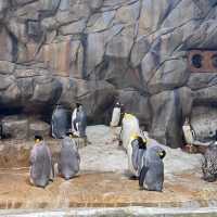 我的快樂天地 香港海洋公園