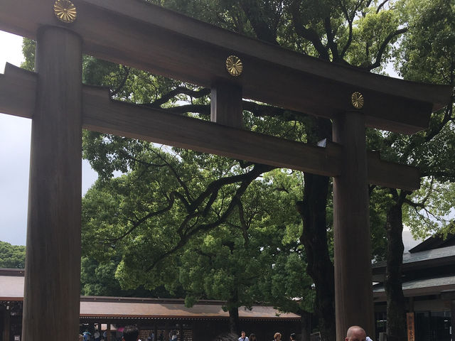 ［東京］森林中的明治神宮