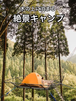 樹冠野餐冒險池田