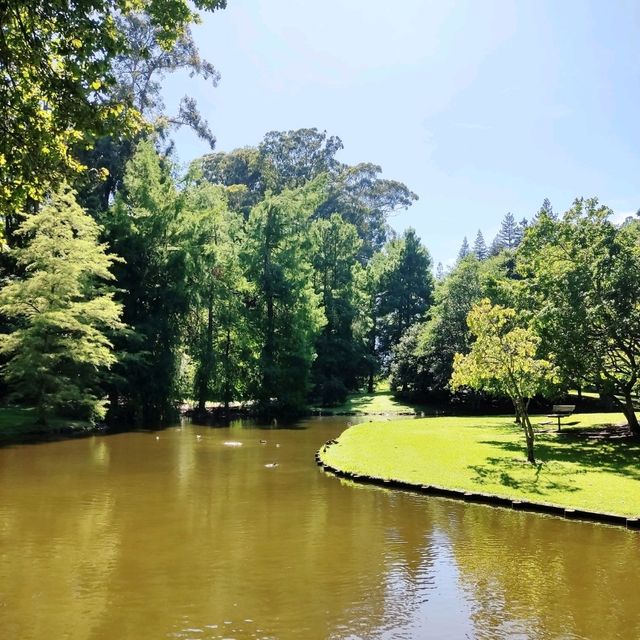 Lake Te Koo Utu, Cambridge, New Zealand