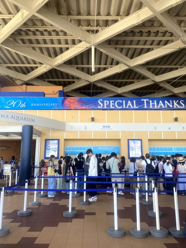 【祝🎉20周年！】展示会が魅力的な新江ノ島水族館🦭
