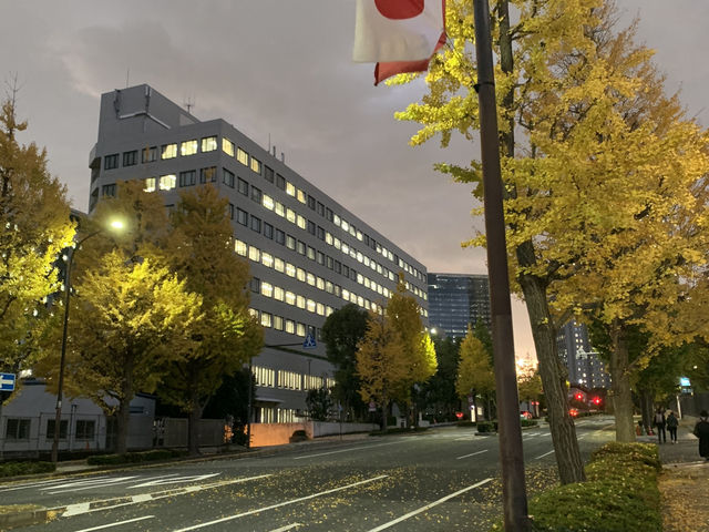 東京一日観光　国立競技場と東京駅丸ノ内庁舎