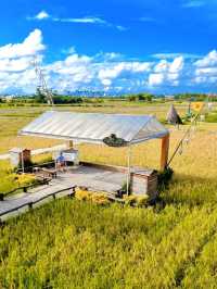 A CAFE ESCAPE IN THE COUNTRYSIDE OF HOI AN