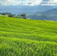🌳สัมผัสธรรมชาติ นาขั้นบันได ป่าบงเปียง
