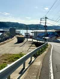 【長崎県】壱岐島内を走り抜ける「壱岐ちゃり」