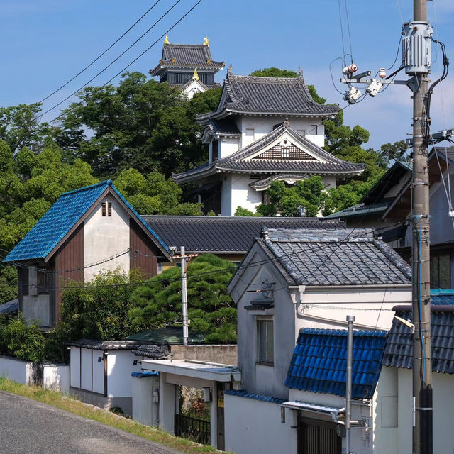 桑名城九華公園：日本城堡的浪漫🏯🌸