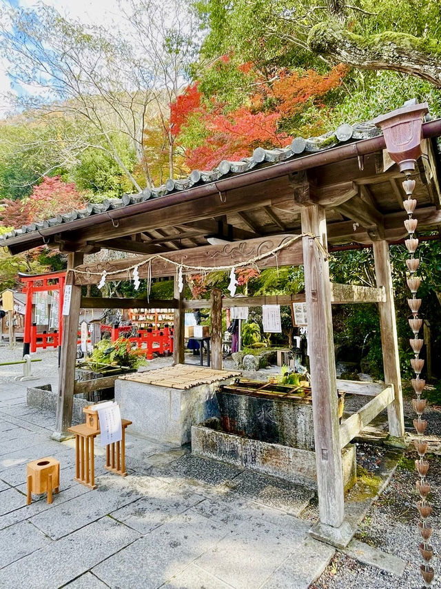【京都府】白兎が可愛い