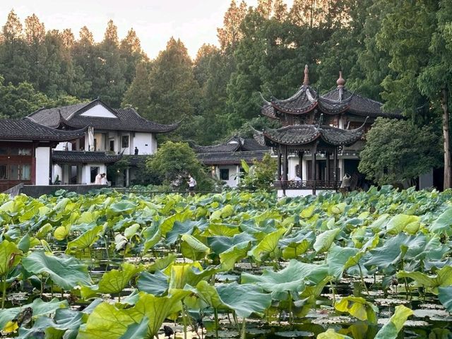 Enchanting Hangzhou, China 🇨🇳