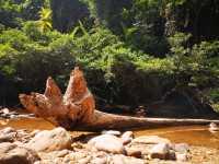 Lubuk Simpon, A Peaceful Spot for Relaxation or Picnic in Taman Negara Pahang