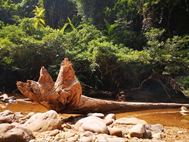 Lubuk Simpon, A Peaceful Spot for Relaxation or Picnic in Taman Negara Pahang