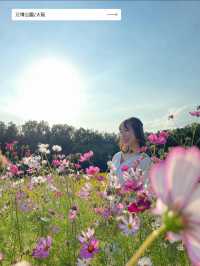 【だんだんと秋も深まるこの時期に🍂】10月に行きたい絶景スポット５選✨