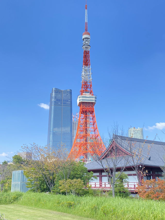 【東京】東京タワーがきれいに見える公園