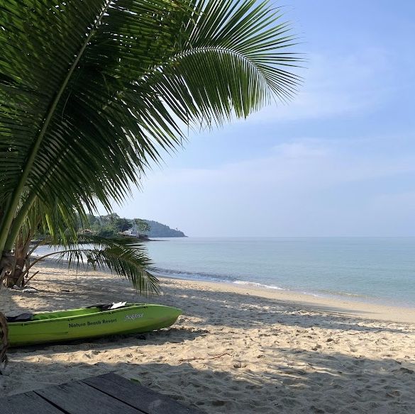 Nature Beach Resort
