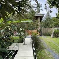 พิกัดคาเฟ่แนวบ้านสวน ร้านสวย
