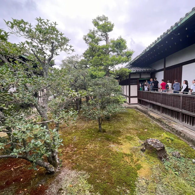 杉原城跡：歷史與自然的完美🏯🌳