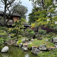善學院：靜謐避風港 🍃⛩️
