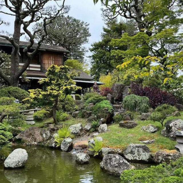 善學院：靜謐避風港 🍃⛩️