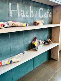 【新潟】Hachi Café ハチカフェ