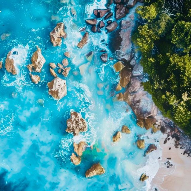 Serenity by the Sea: A Comprehensive Review of Beaches