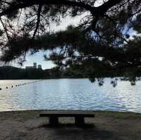 福岡行街以外既選擇 大濠公園🌿