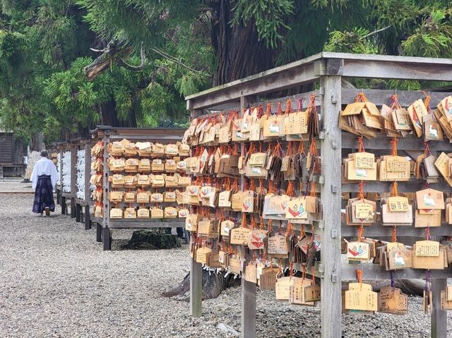 山陰這樣玩 從鳥取到出雲形成分享