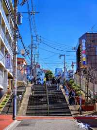 探索懷舊東京的秘密基地：谷中銀座商店街漫遊指南🛤️🐱