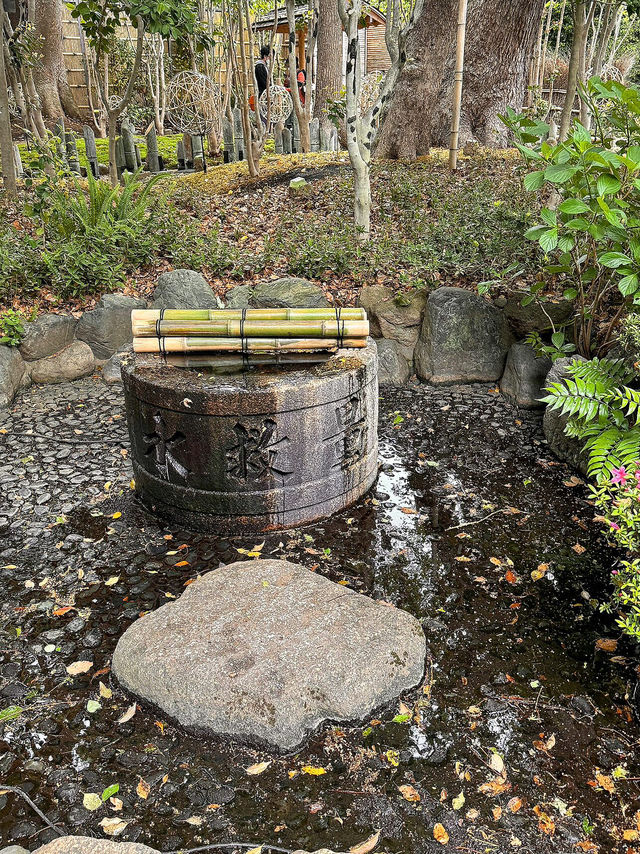 東京世外桃源—椿山莊飯店庭園漫遊指南🍃🌸