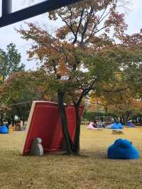 가을의 정취를 만끽할 수 있는 정독도서관📚🧡