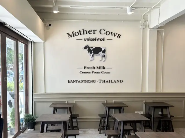 Mother Cows มาร์เตอร์คาวส์ บรรทัดทอง